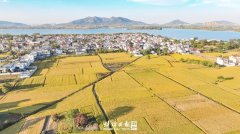 秋收正忙“丰”景好